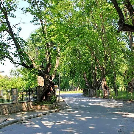 Geromichalos Σκοτίνα